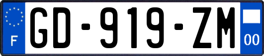 GD-919-ZM