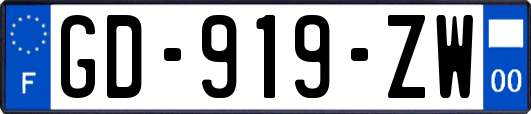 GD-919-ZW