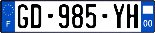 GD-985-YH