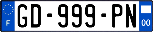 GD-999-PN