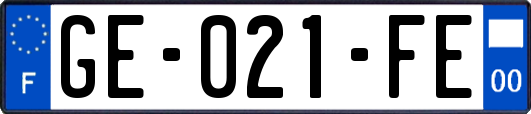 GE-021-FE