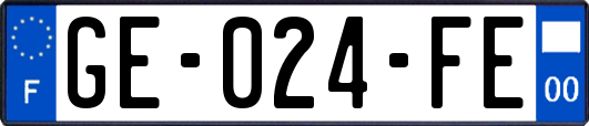 GE-024-FE