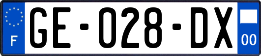 GE-028-DX