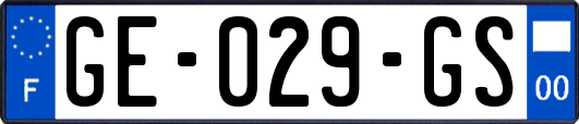 GE-029-GS