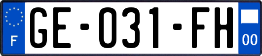 GE-031-FH