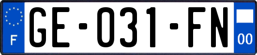 GE-031-FN