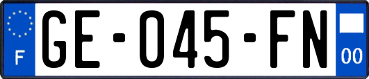 GE-045-FN
