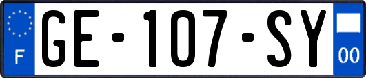 GE-107-SY