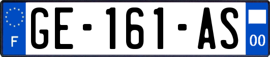 GE-161-AS