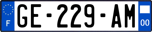 GE-229-AM
