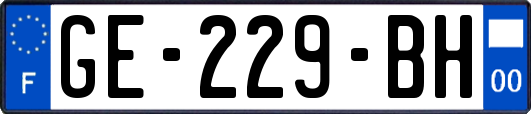 GE-229-BH