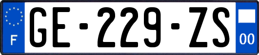 GE-229-ZS