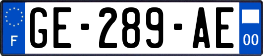 GE-289-AE