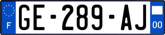 GE-289-AJ