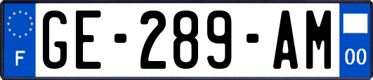GE-289-AM