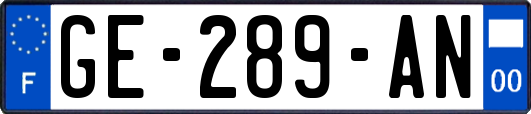 GE-289-AN