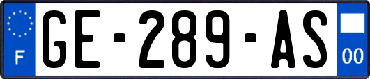 GE-289-AS