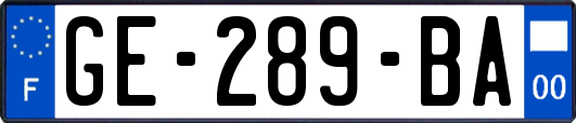 GE-289-BA