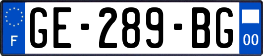 GE-289-BG