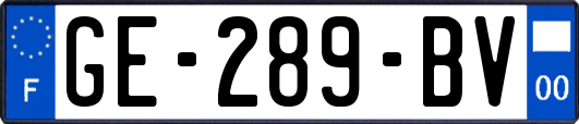 GE-289-BV