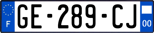 GE-289-CJ