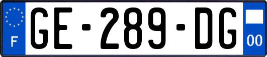 GE-289-DG
