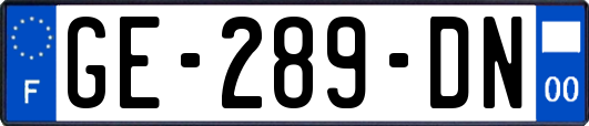 GE-289-DN