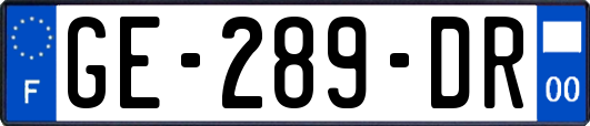 GE-289-DR
