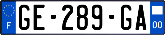 GE-289-GA