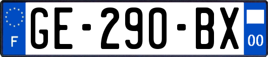 GE-290-BX