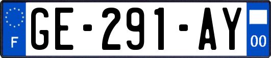 GE-291-AY