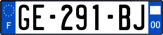 GE-291-BJ
