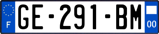 GE-291-BM