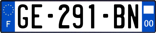 GE-291-BN