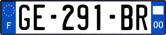 GE-291-BR