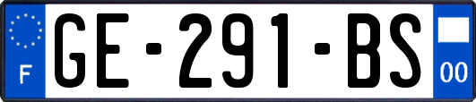 GE-291-BS