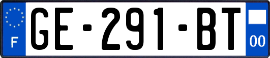 GE-291-BT