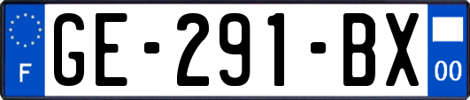GE-291-BX