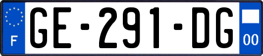 GE-291-DG