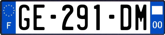 GE-291-DM