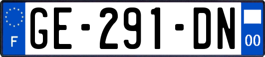 GE-291-DN