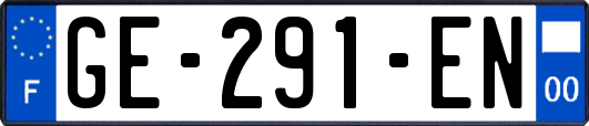 GE-291-EN