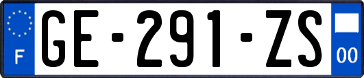 GE-291-ZS