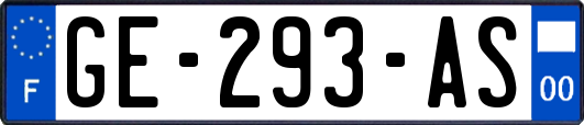 GE-293-AS