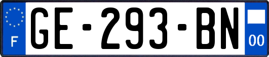 GE-293-BN