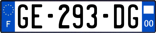 GE-293-DG