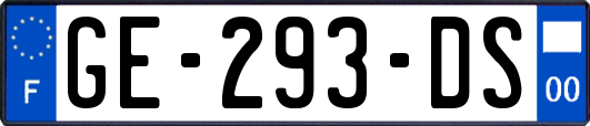 GE-293-DS