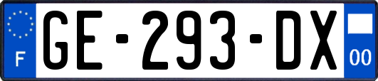 GE-293-DX