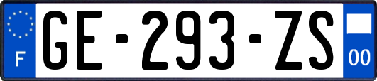 GE-293-ZS