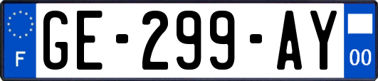GE-299-AY